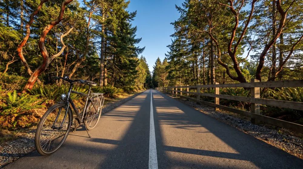 Paved trail through firs and arbutus trees
